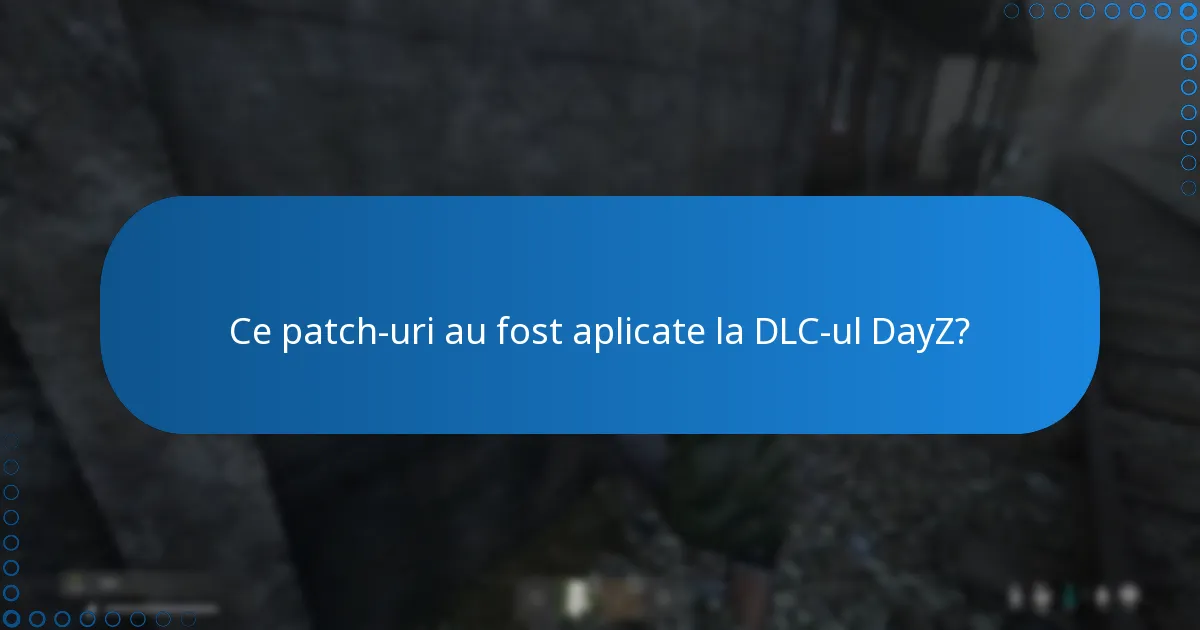 Ce patch-uri au fost aplicate la DLC-ul DayZ?